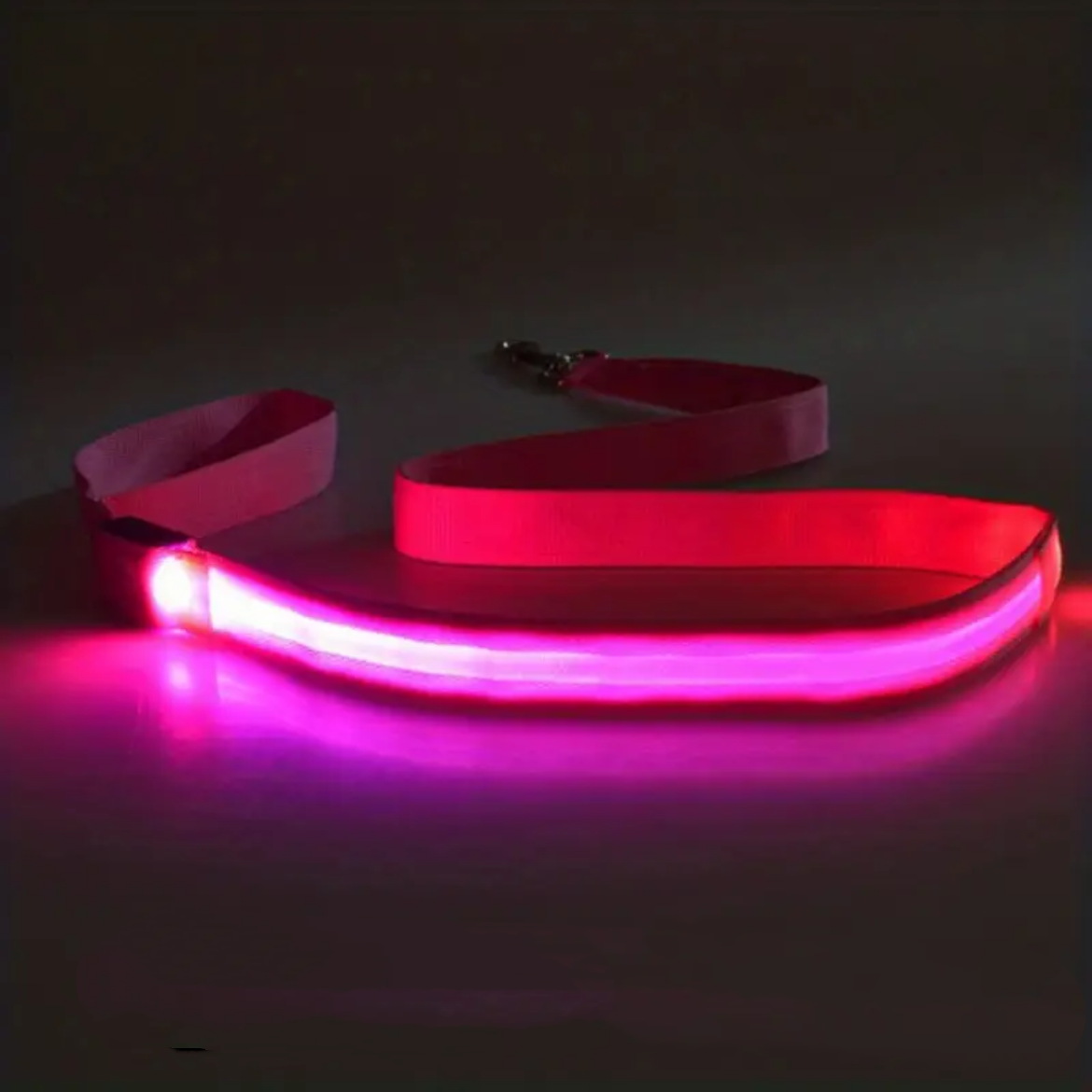 GlowPaws Single Color LED Leash (4ft)