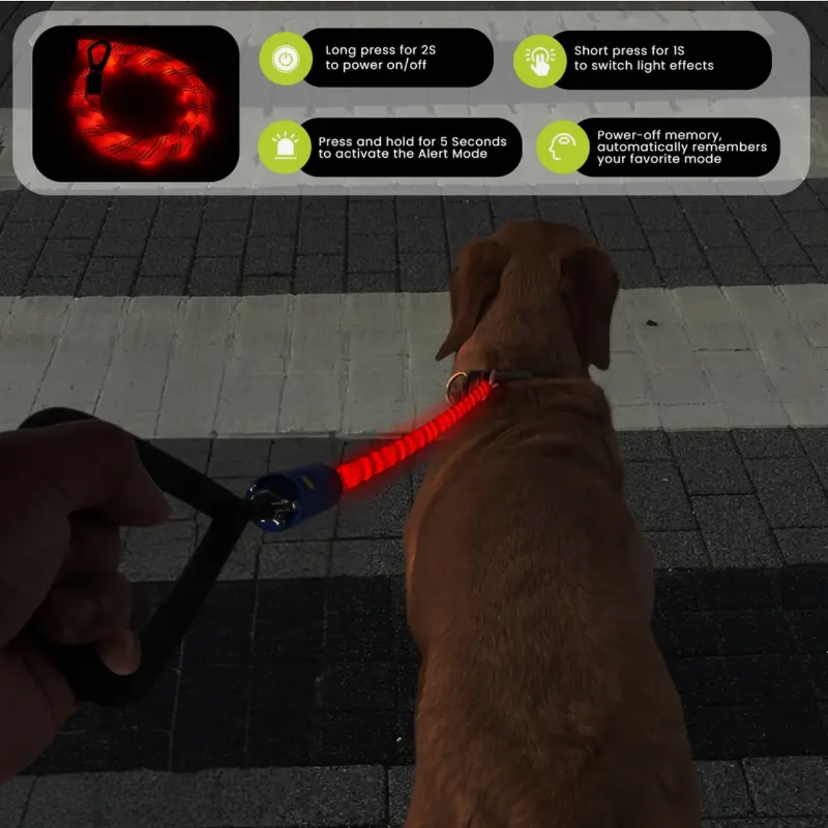 GlowPaws Single Color LED Leash (4ft)