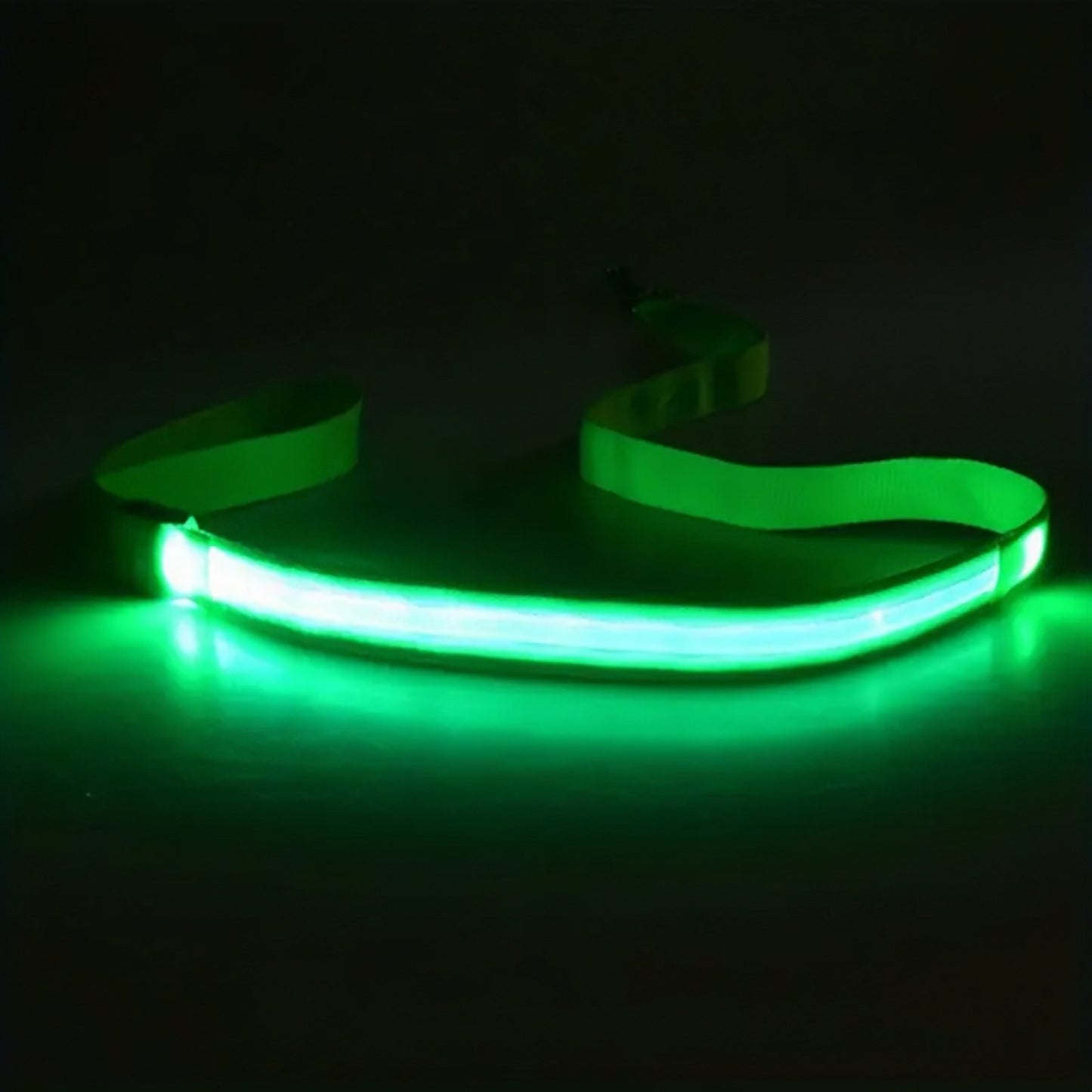 GlowPaws Single Color LED Leash (4ft)