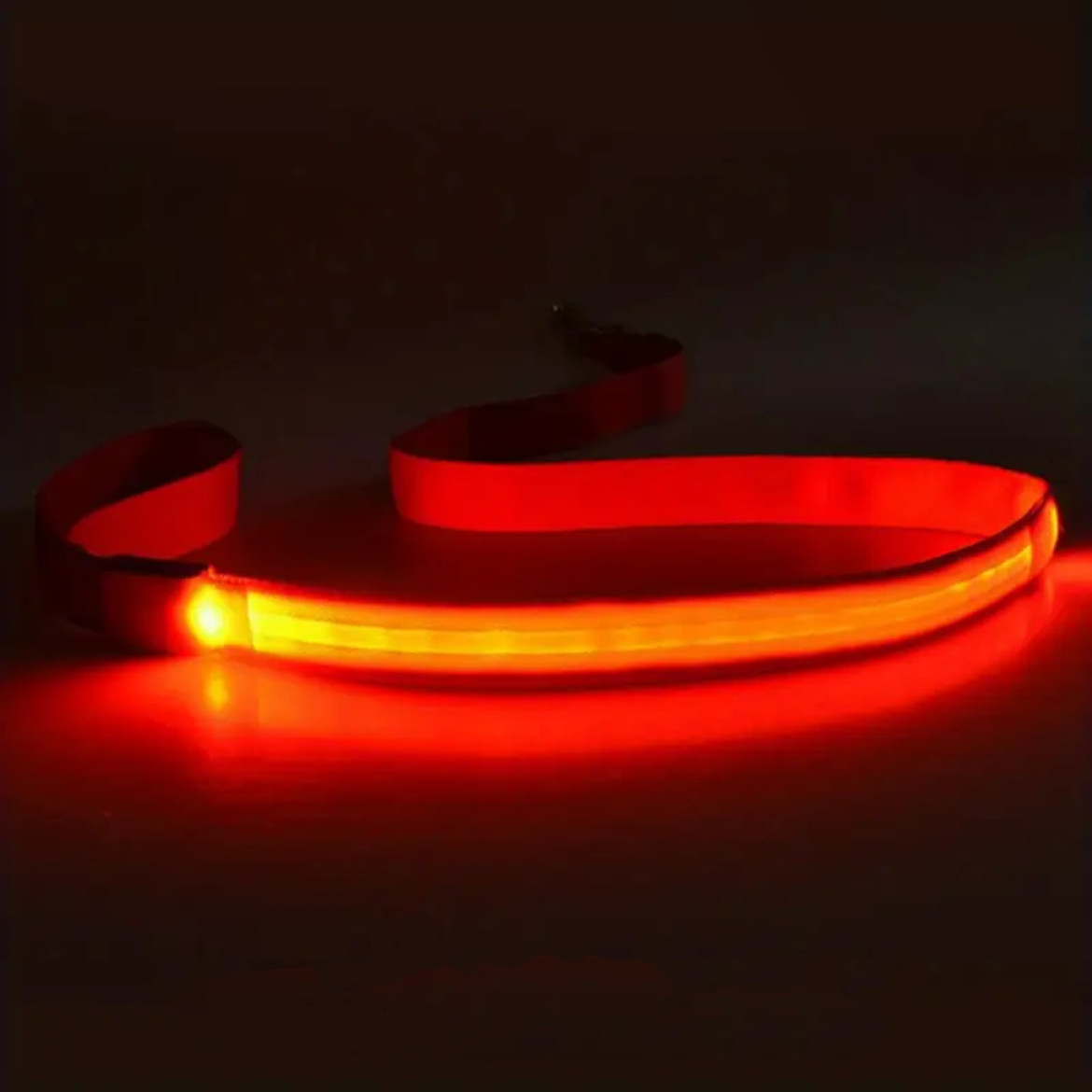 GlowPaws Single Color LED Leash (4ft)