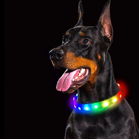 GlowPaws LED Collar (Multi Color)