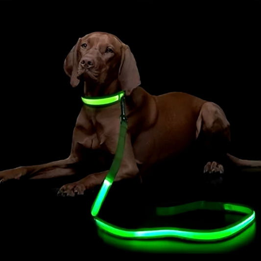 GlowPaws Single Color LED Leash (4ft)