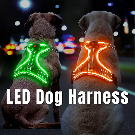 GlowPaws Multi Color LED Harness (One Size Fits All)