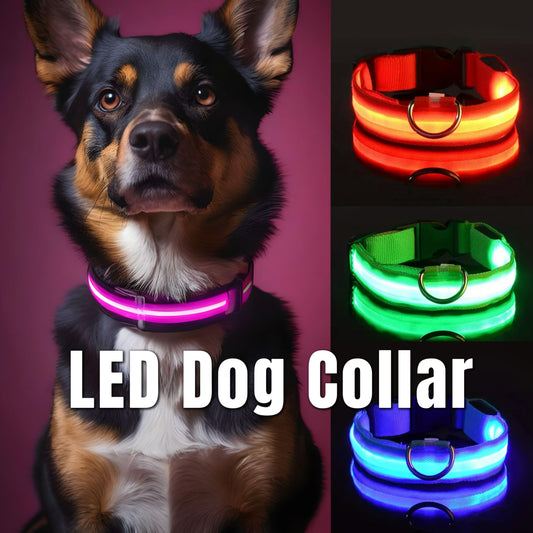 GlowPaws LED Collar (Single Color)